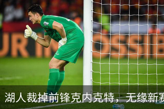 湖人裁掉前锋克内克特，无缘新赛季阵容